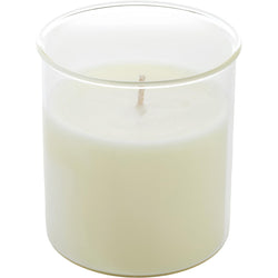 CELESTE FIG & MELON by Northern Lights (UNISEX) - ESQUE CANDLE INSERT 9 OZ